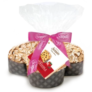 Colomba Strawberry and Chocolate chips (Copia)